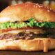 biashara ya burger